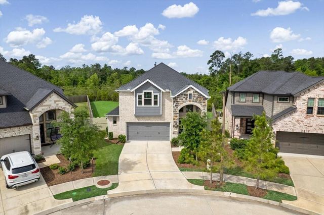 17814 Tree Of Heaven, Conroe, TX 77385