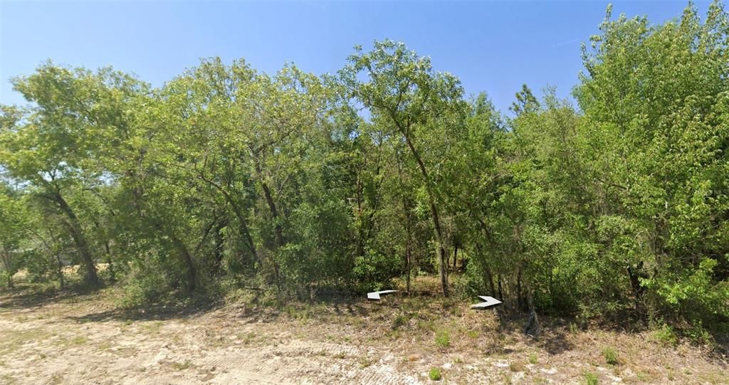 RAINBOW LAKES BLVD, Dunnellon, FL 34431