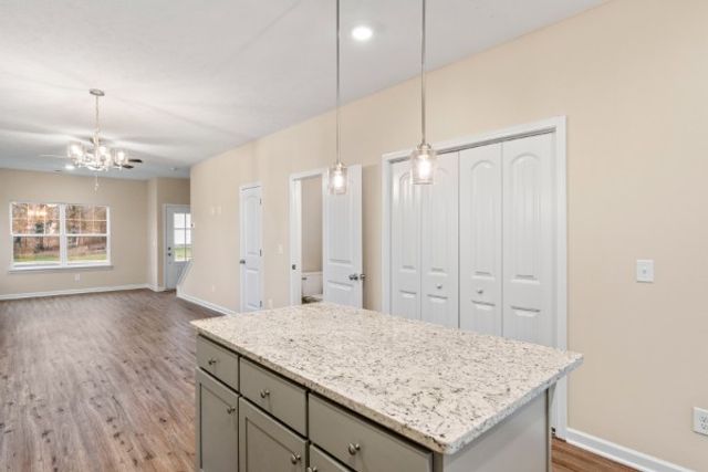 312 Moshe Feder Way, La Vergne, TN 37086