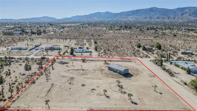 11025 Buena Vista Road, Pinon Hills, CA 92372