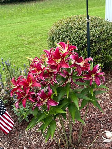 4444 Bravery Place SW 116, Concord, NC 28027