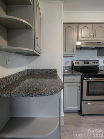 20 Baldwin Street, Asheville, NC 28803