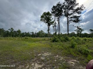 Tract 2a Southport Supply Road, Bolivia, NC 28422