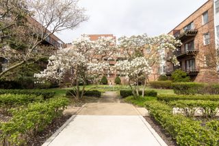 1730 Hinman Avenue 4G, Evanston, IL 60201