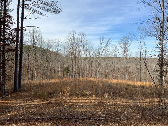 2340 Bear Hollow Drive, Waverly, TN 37185