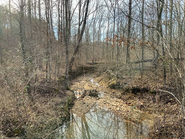 2340 Bear Hollow Drive, Waverly, TN 37185