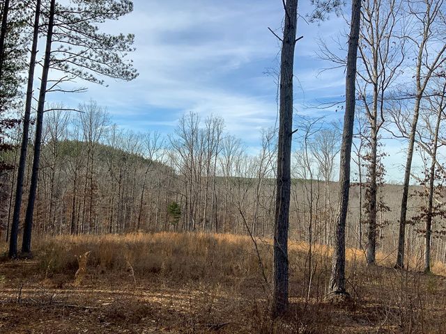 2340 Bear Hollow Drive, Waverly, TN 37185