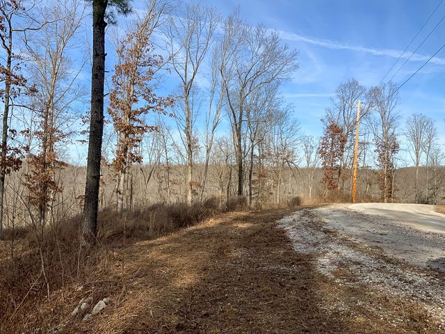 2340 Bear Hollow Drive, Waverly, TN 37185