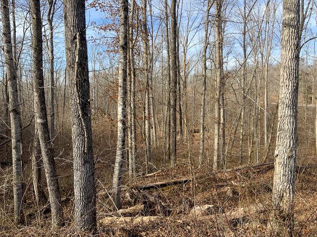 2340 Bear Hollow Drive, Waverly, TN 37185