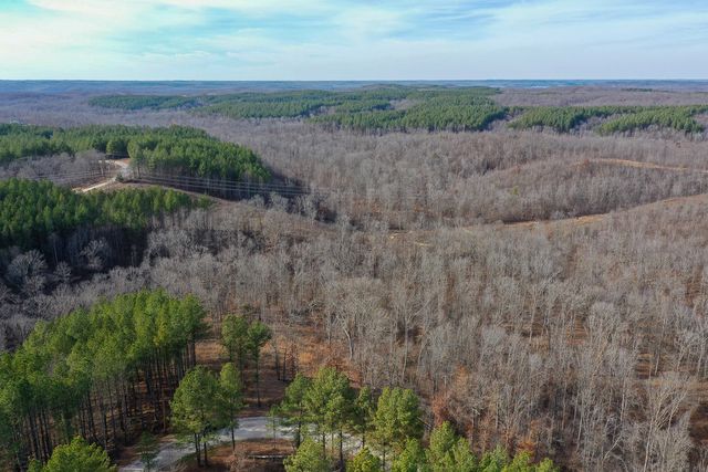 2340 Bear Hollow Drive, Waverly, TN 37185