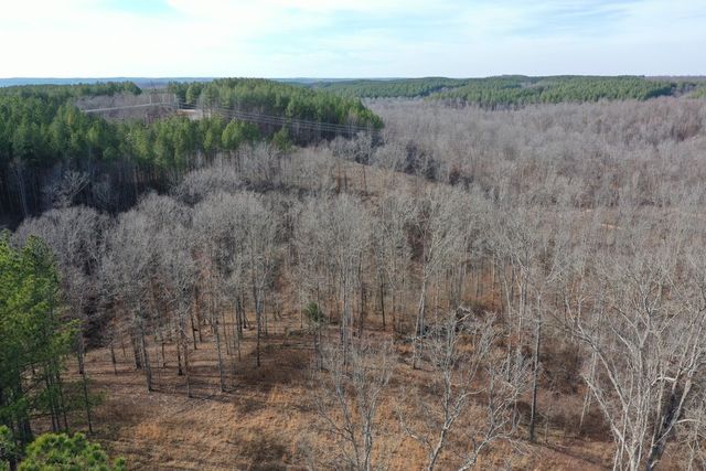 2340 Bear Hollow Drive, Waverly, TN 37185