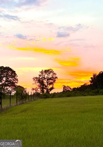 1141 Windsweep Farm Road, Thomaston, GA 30286