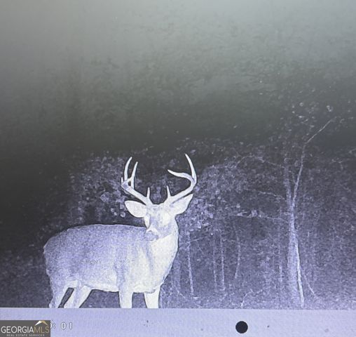 1141 Windsweep Farm Road, Thomaston, GA 30286