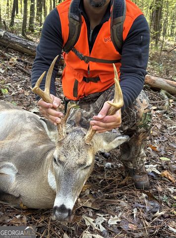 1141 Windsweep Farm Road, Thomaston, GA 30286