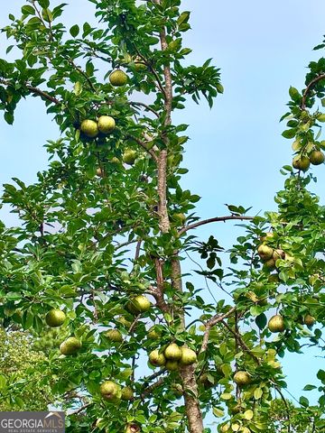 1141 Windsweep Farm Road, Thomaston, GA 30286