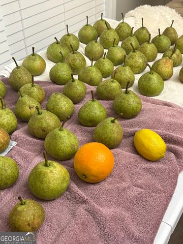 1141 Windsweep Farm Road, Thomaston, GA 30286