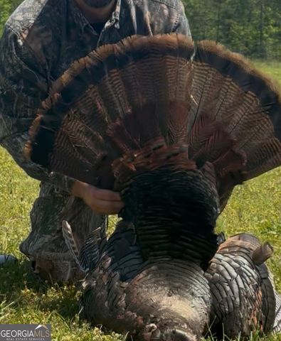 1141 Windsweep Farm Road, Thomaston, GA 30286