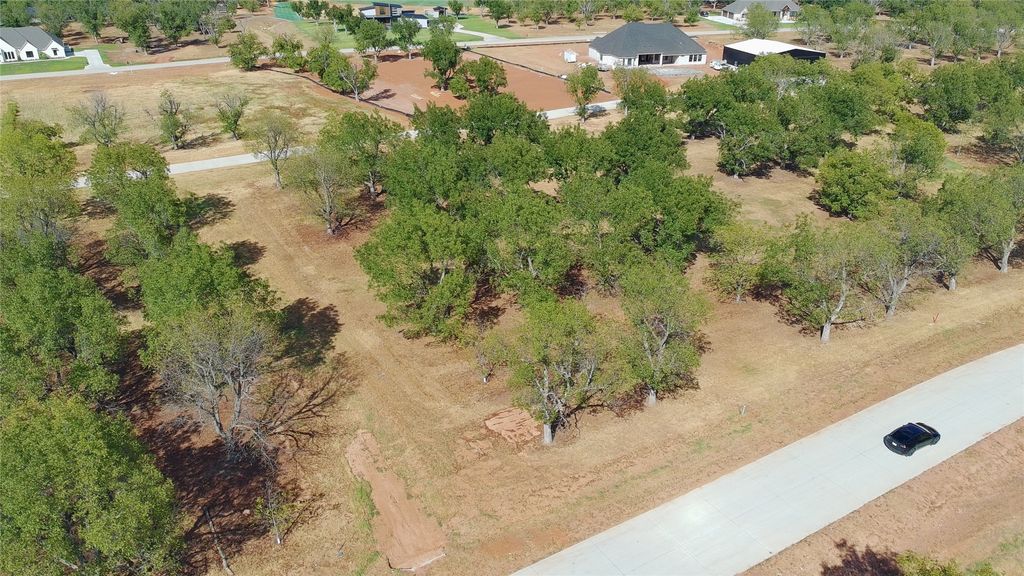 1430 Cirrus Loop, Granbury, TX 76049 — photo 3