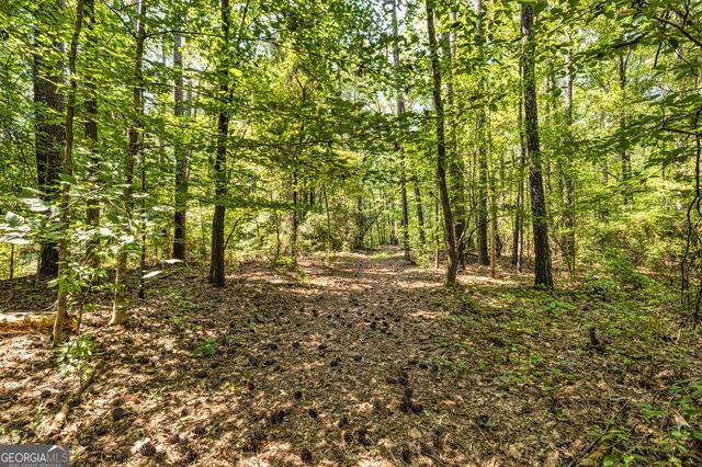 210 Mockingbird Lane, Brooks, GA 30205