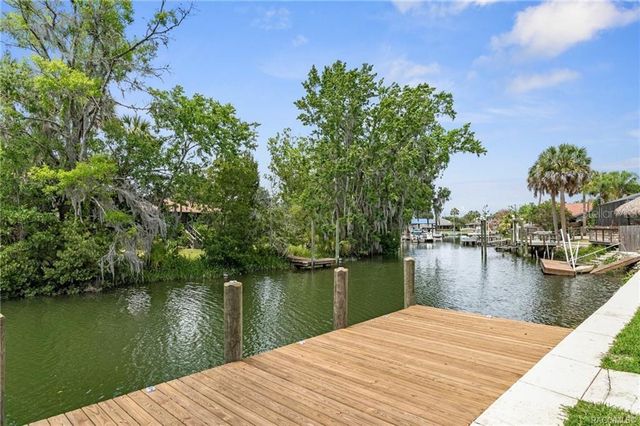 9205 W HARBOR ISLE COURT, Crystal River, FL 34429