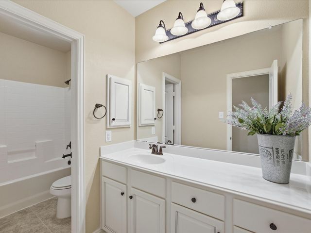 313 Turnstone Drive, Little Elm, TX 75068