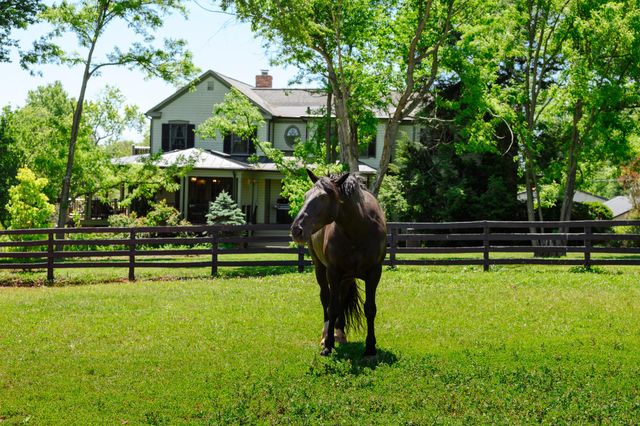 18101 CATTAIL RD, Poolesville, MD 20837