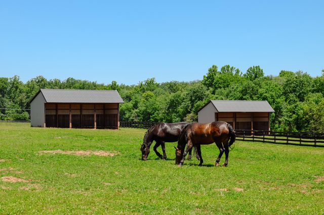 18101 CATTAIL RD, Poolesville, MD 20837