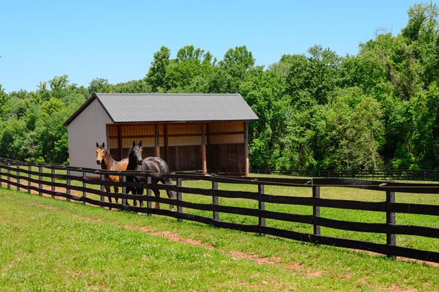 18101 CATTAIL RD, Poolesville, MD 20837