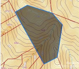 99999-23 Nesbitt Chapel Road, Fairview, NC 28730