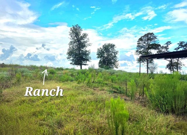 37903 Antrim Street, Hempstead, TX 77445