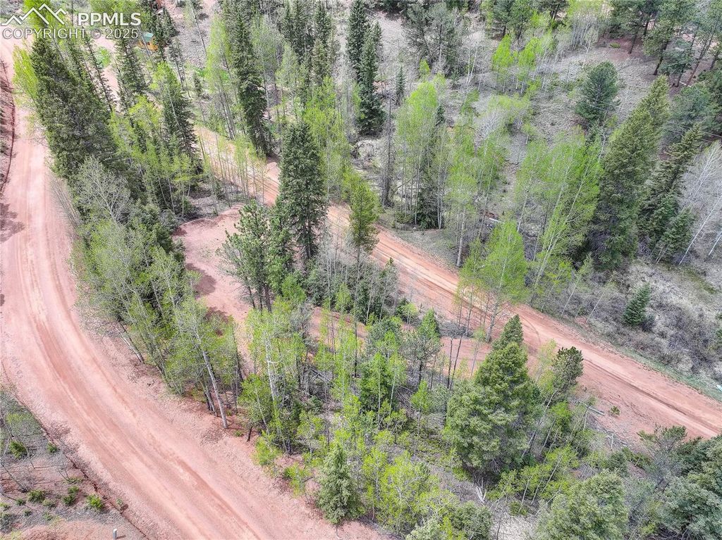 416 Willow Road, Divide, CO 80814 — exterior