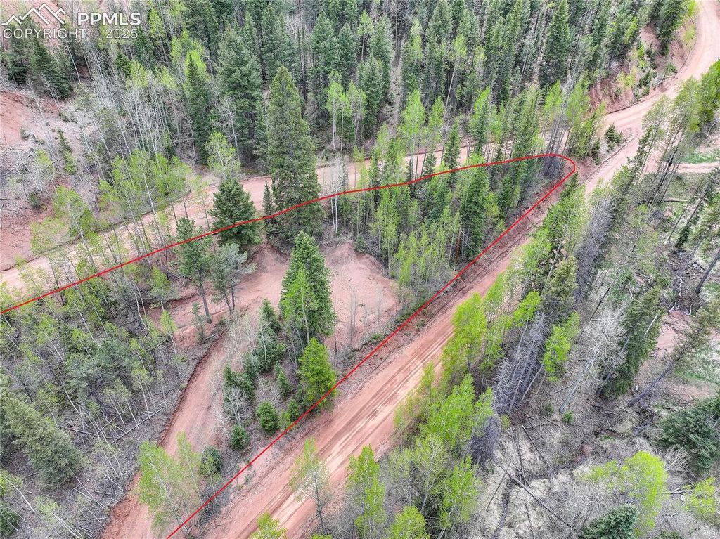 416 Willow Road, Divide, CO 80814 — photo 4
