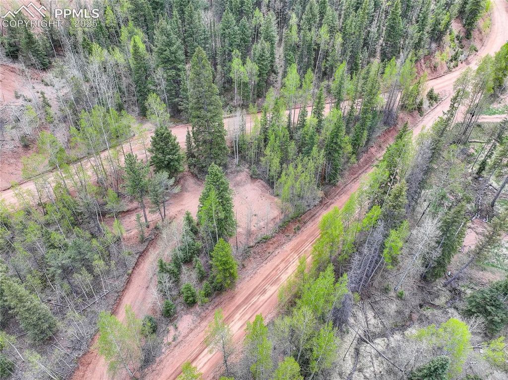 416 Willow Road, Divide, CO 80814 — photo 5
