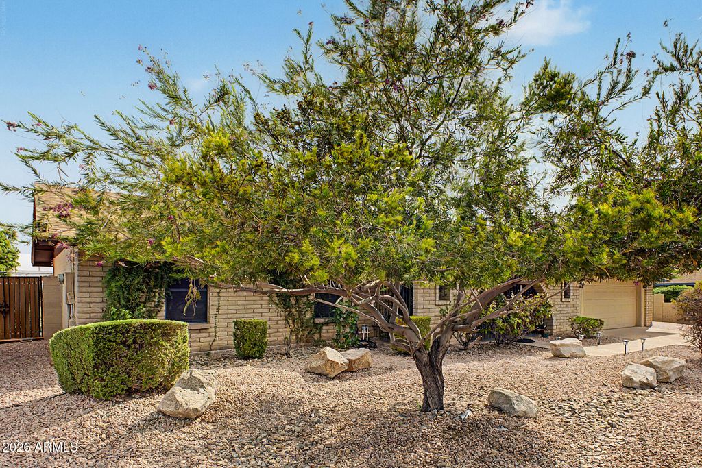 6133 E HANNIBAL Street, Mesa, AZ 85205 — photo 4