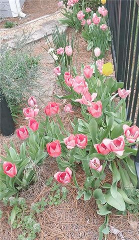 210 Coventry Park Lane, Winston-salem, NC 27104