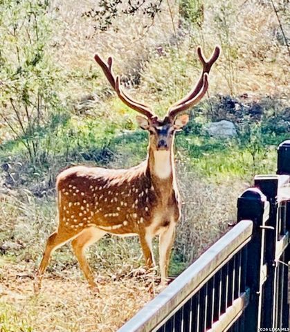 27722 Lokaya Falls, Boerne, TX 78015