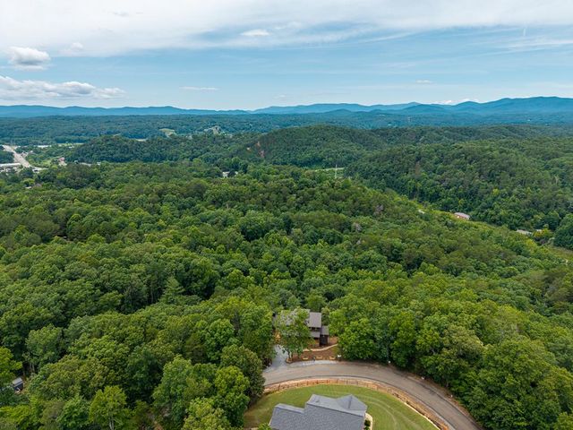 63 Granny Smith Lane, Ellijay, GA 30536