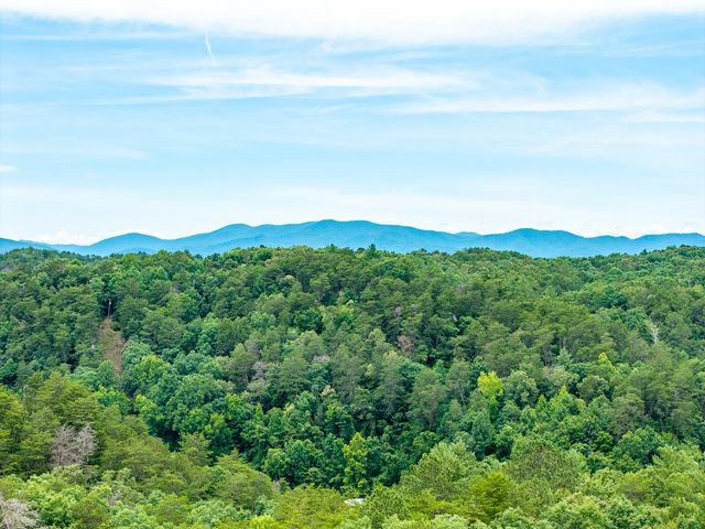 63 Granny Smith Lane, Ellijay, GA 30536
