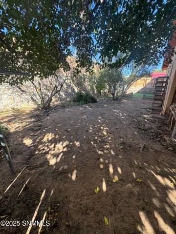 903 N Tornillo Street, Las Cruces, NM 88001