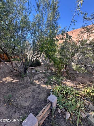 903 N Tornillo Street, Las Cruces, NM 88001