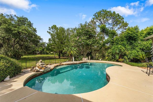 17877 PHIL C PETERS RD, Winter Garden, FL 34787