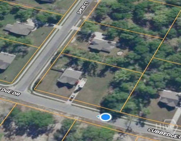 165 Cubbedge Drive, Rincon, GA 31326