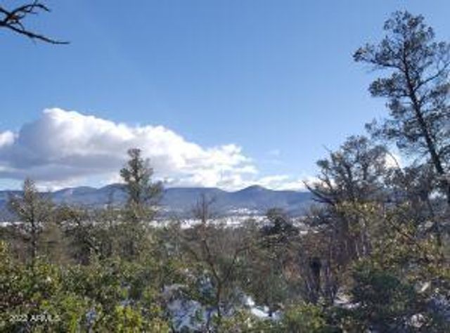 4R-5 N Ike Clark Parkway 5, Young, AZ 85554