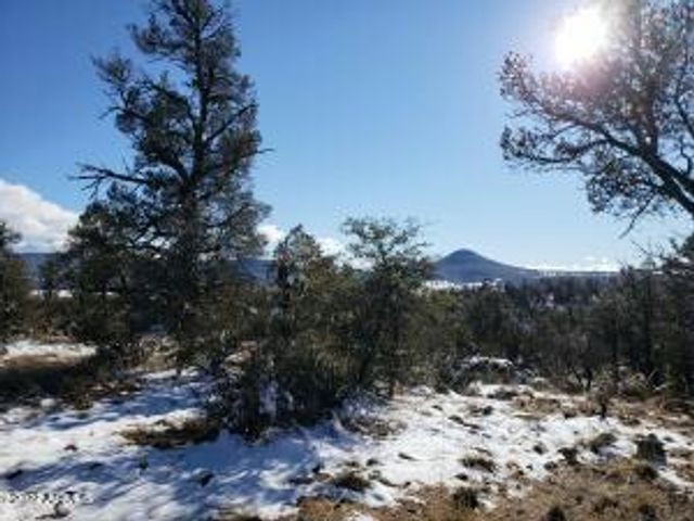 4R-5 N Ike Clark Parkway 5, Young, AZ 85554