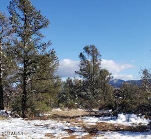 4R-5 N Ike Clark Parkway 5, Young, AZ 85554