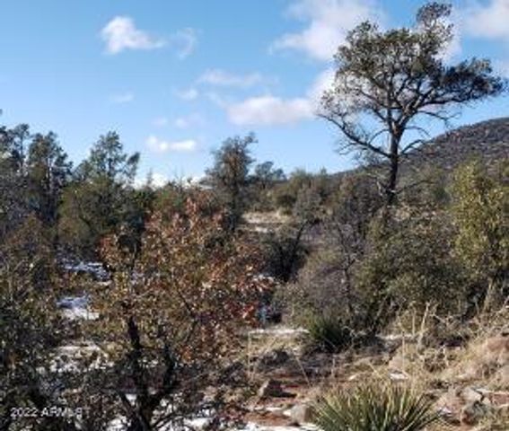 4R-5 N Ike Clark Parkway 5, Young, AZ 85554