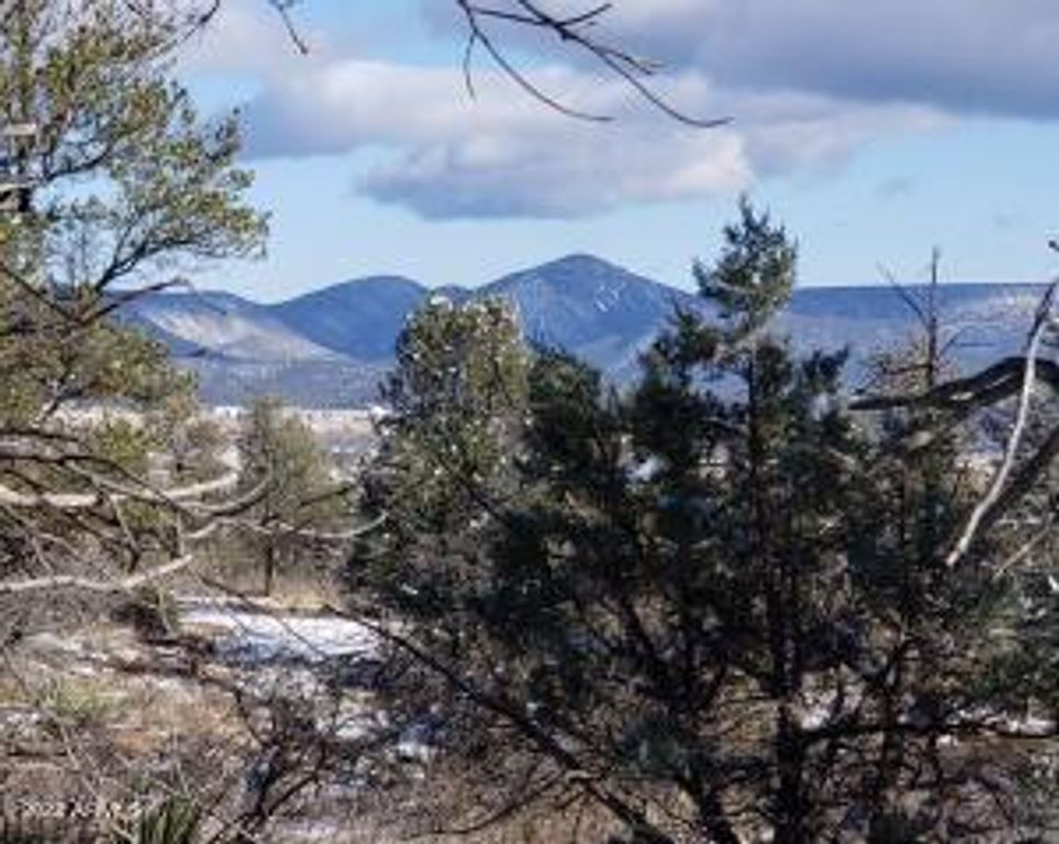 4R-5 N Ike Clark Parkway 5, Young, AZ 85554