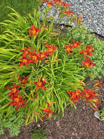 9830 W Plainfield AVENUE, Greenfield, WI 53228