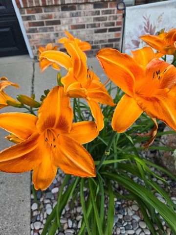 9830 W Plainfield AVENUE, Greenfield, WI 53228