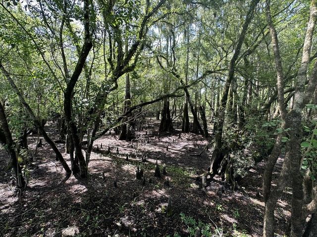 2410 NW 117TH PL, Branford, FL 32008